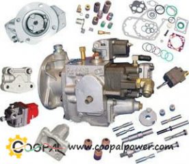 Cummins fuel pump parts | Genuine DCEC/CCEC fuel pump parts